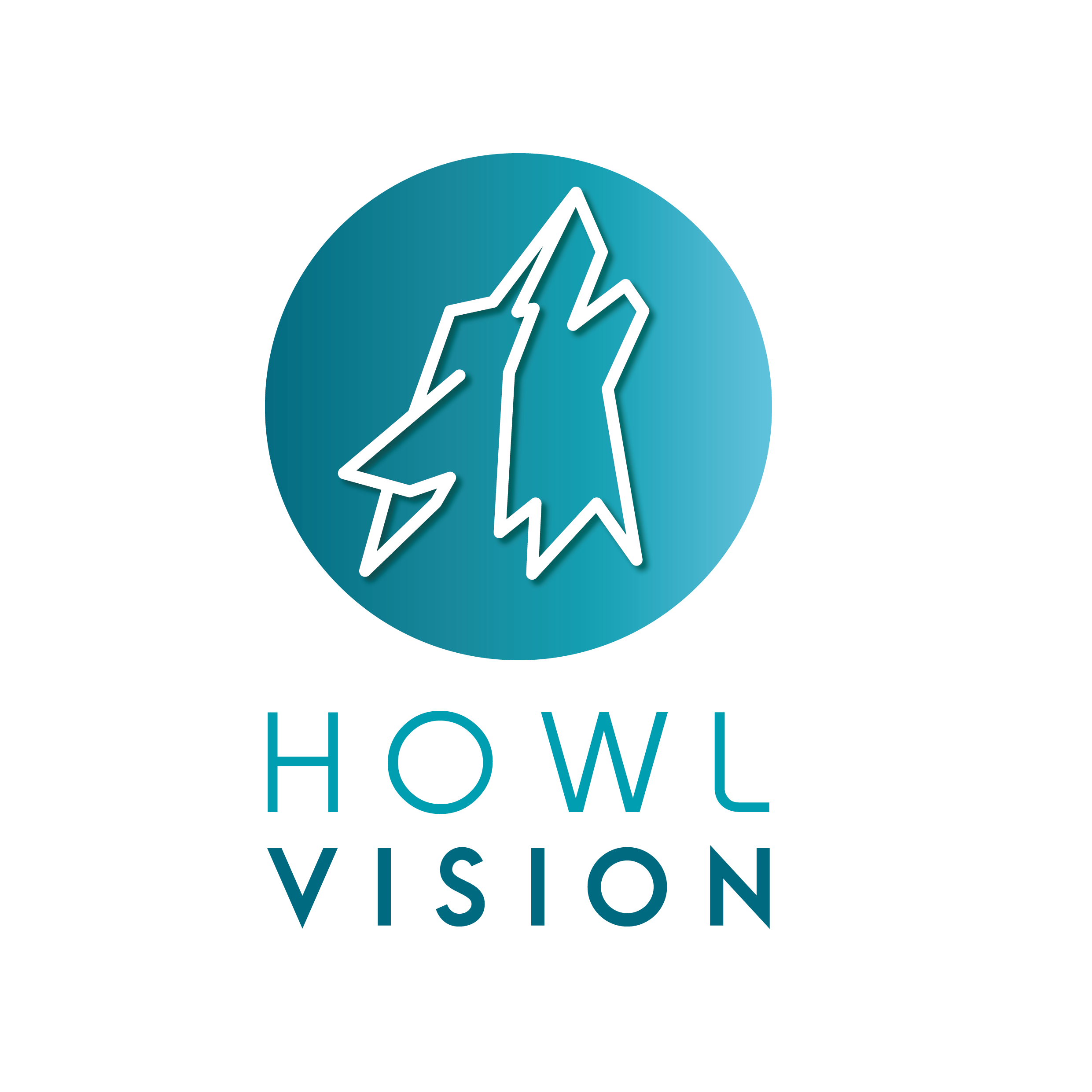 Howl Vision